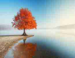 学﻿好​creo可﻿以‍从‍事‌什‌么​工‍作‍